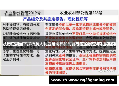 从历史到当下探析澳大利亚足协杯加时赛制度的演变与发展趋势