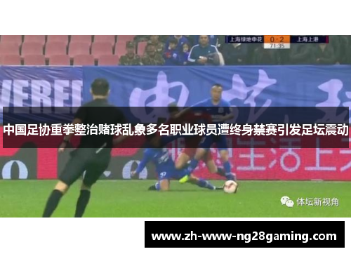 中国足协重拳整治赌球乱象多名职业球员遭终身禁赛引发足坛震动 中国足协重拳整治赌球乱象多名职业球员遭终身禁赛引发足坛震动